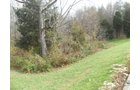 Property photo 5 - Land Auction - 113.11 Acres, Potential Building Site, Wildlife & Recreation, Development Potential